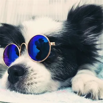Animal de estimação Óculos de sol Óculos de Estimação Óculos Adereços Foto Bens Cosplay Acessórios Óculos Bonito para Animais de Estimação Gato Cachorro Suprimentos Item