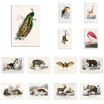 O hipopótamo, o tucano, girafa, pavão pássaro, o elefante, o ornitorrinco, o bode, o urso pardo, macaco primata vintage animal ilustração do cartaz